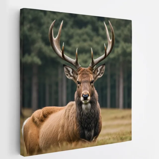 Saammp Canvas Schilderij - hert in de wei - Natuur - Dieren - 40x40 - Foto op canvas - Wanddecoratie - Muurdecoratie Woonkamer - Slaapkamer decoratie - Canvas Print Multicolor