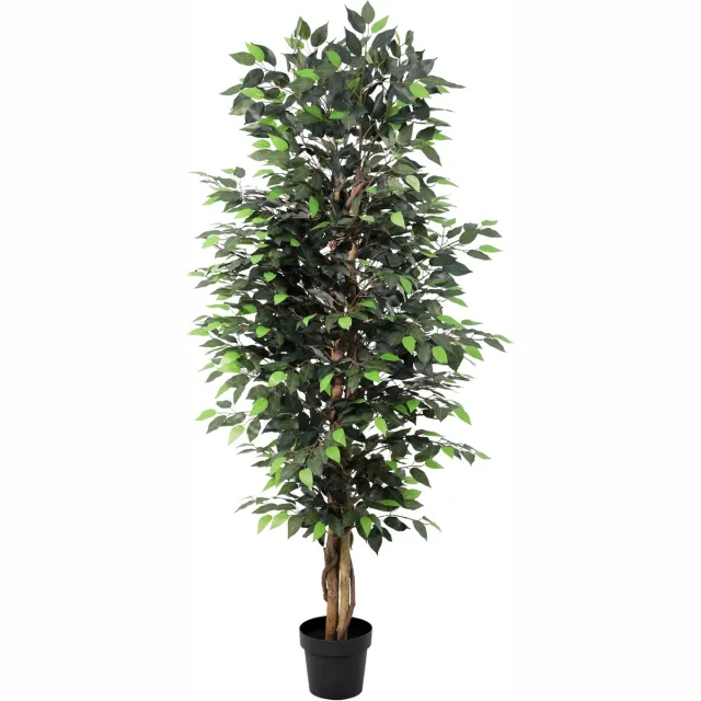 Florafy Kunstplant Ficus Benjamina 180cm - Kunstplanten voor binnen - Onderhoudsvrij Groen