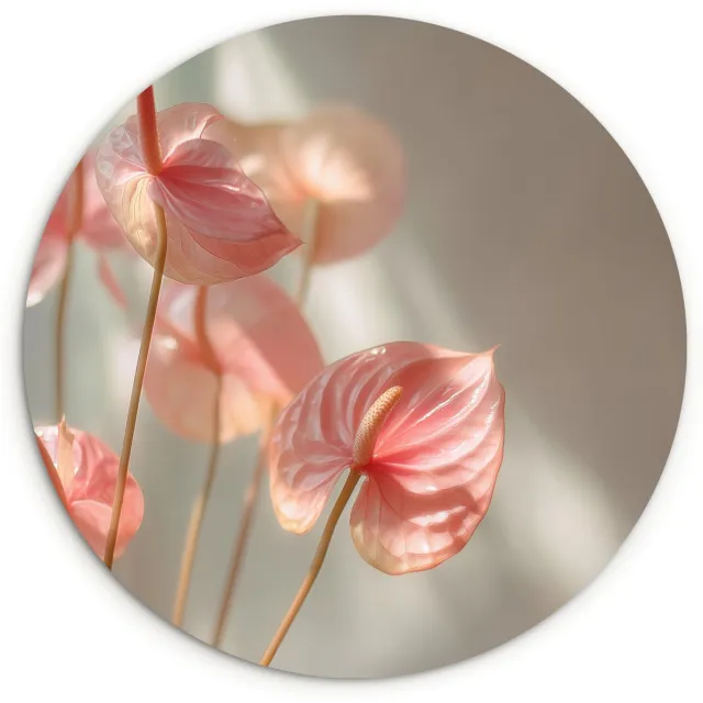 WallCircle Wandcirkel 150x150 cm - Muurcirkel Bloemen - Stelen - Roze - Schaduw - Muurdecoratie woonkamer - Wanddecoratie slaapkamer - Kamer decoratie accessoires - Ronde schilderijen
