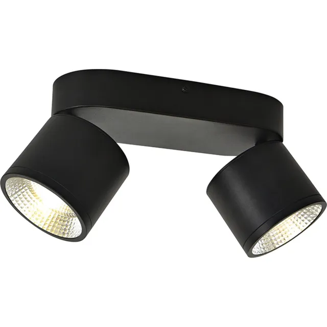 Olucia THOMAS - Plafondlamp - Zwart - 2L - Vorm: Cilinder