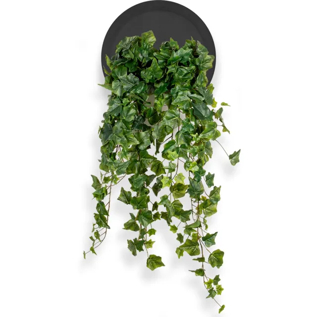 HTT Decorations Kunstplant Hedera groen in Wally Ø30 cm zwart - HTT Decorations kunstplanten