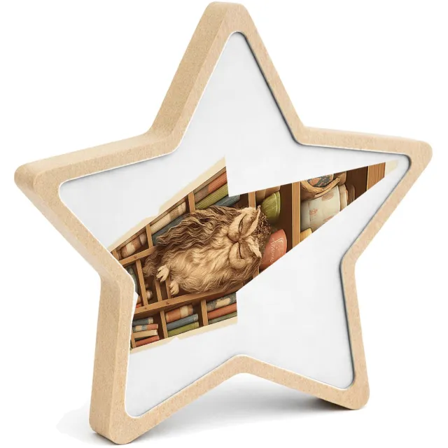 Mr Cadeautjes MDF fotolijst ster 14 x 13,5 - design Een slaperige uil op een ladder naast een hoge plank met the | cadeau Wit