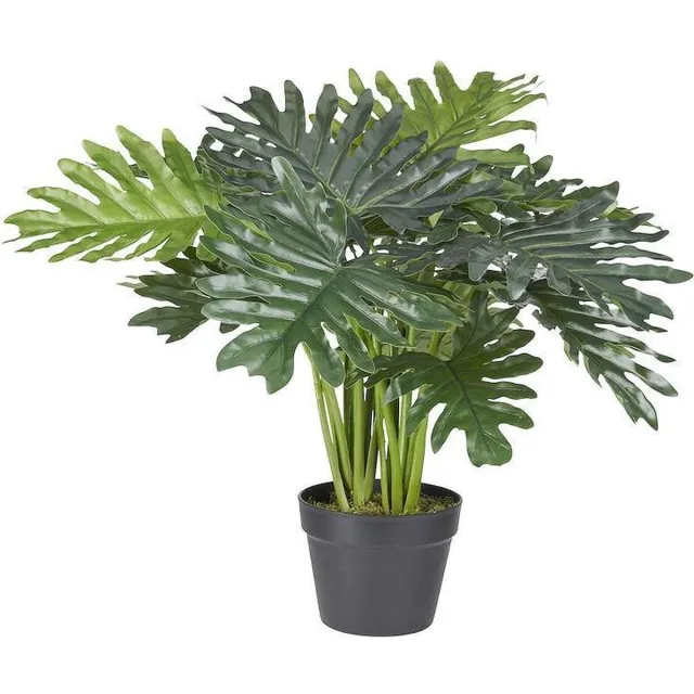 HTT Decorations Kunstplant Philo Xanadu H60cm - HTT Decorations kunstplanten Groen