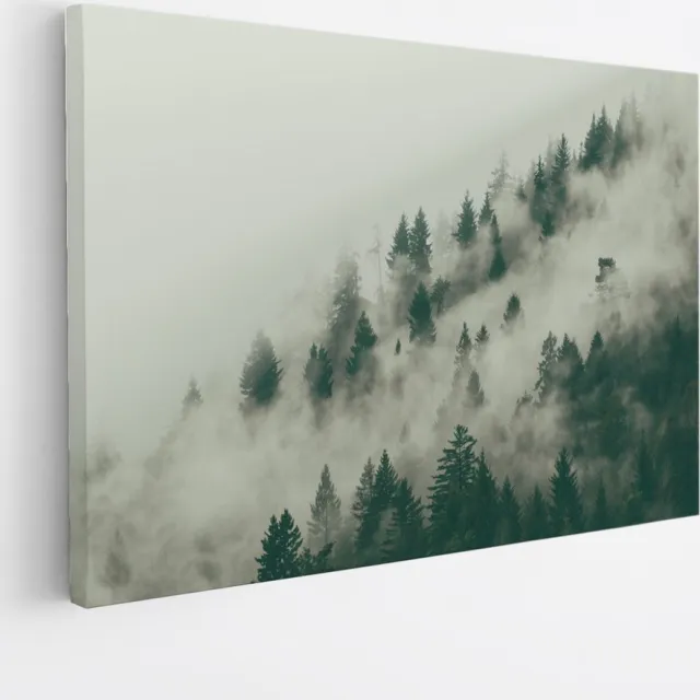 Saammp Canvas Schilderij - Mist tussen de bomen - Landschap - Natuur - 120x80 - Foto op canvas - Wanddecoratie - Muurdecoratie Woonkamer - Slaapkamer decoratie - Canvas Print Multicolor