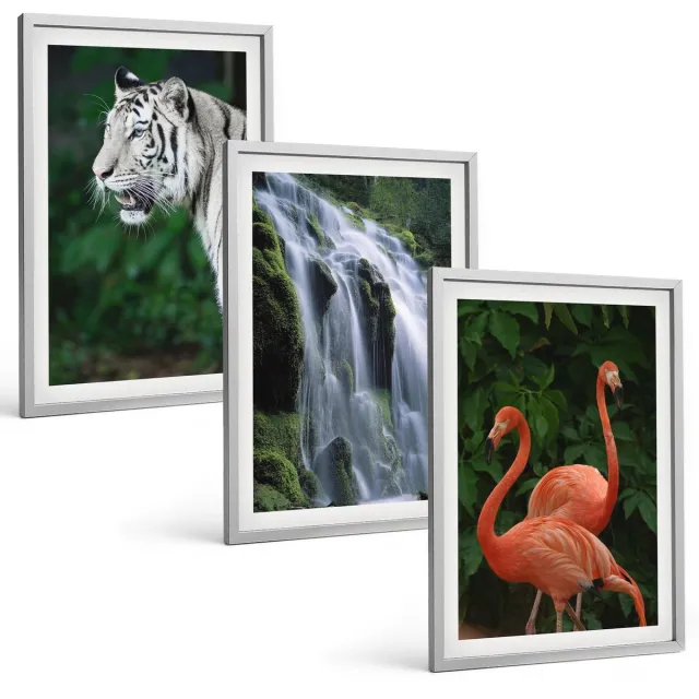 TULUP 4-Delige Schilderij Set - Tijgerwaterval en roze flamingo's in de natuur - 40 x 60 cm - Decoratieve Schilderijen - Wanddecoratie - Hal - Moderne Wanddecoratie Zilveren lijst
