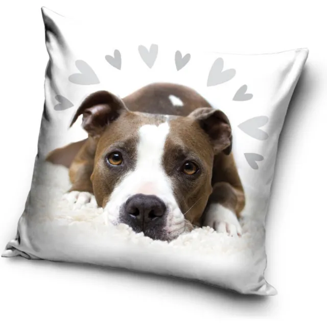 DOG Amerikaanse staffordshireterriër - grijs met wit - sierkussenhoes - 40 x 40 cm grijs, wit