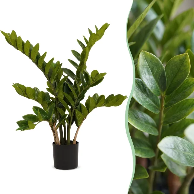 Green Harmony Plants Kunstplant - Zamioculcas - Kamerpalm - 70 cm Bruin