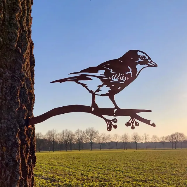 rusty friends Cortenstaal Vlaamse Gaai – Metalen Vogel Tuindecoratie – Robust Tuinschip op Ware Grootte – Boom- & Schuttingdecoratie (27 x 42 cm)