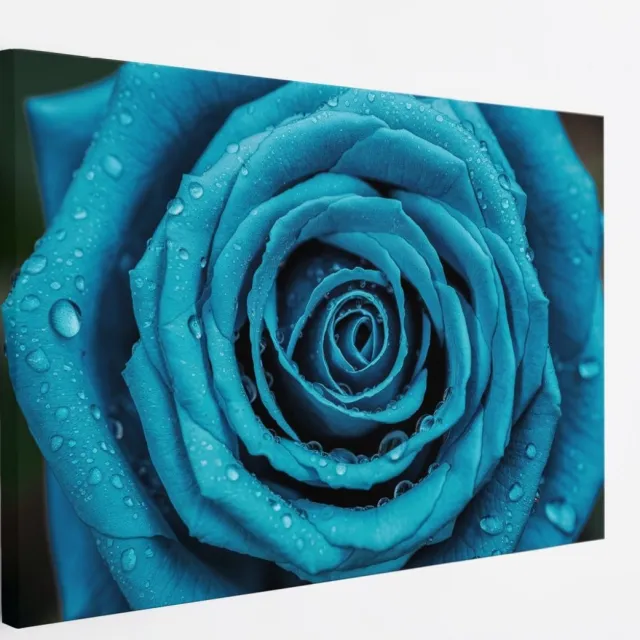 Saammp Canvas Schilderij - Blauwe Roos Met Waterdruppels - Natuur - Abstract - 50x40 - Foto op canvas - Wanddecoratie - Muurdecoratie Woonkamer - Kantoor Decoratie Multicolor