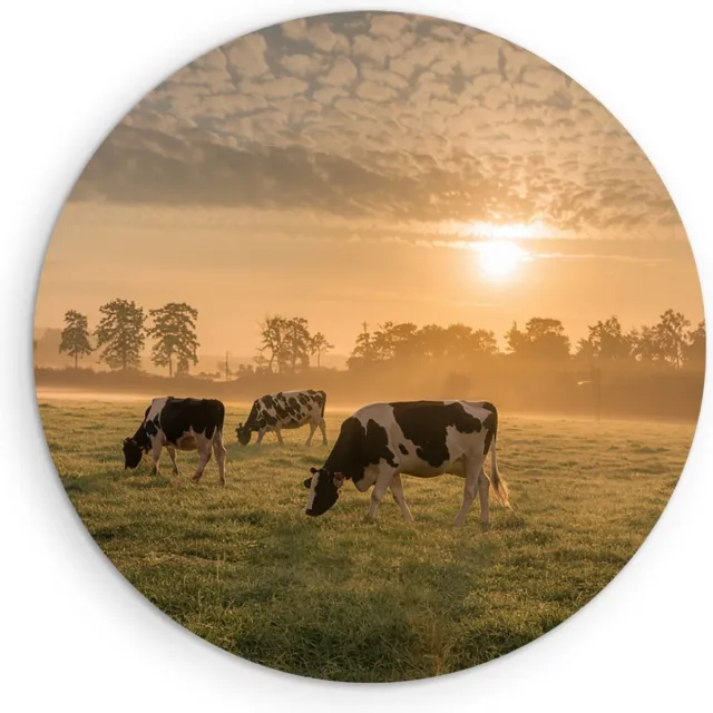 Saammp Muurcirkel Hout - Groep koeien in de zonsondergang - Nederland - Dieren - Ø 60 - Wandcirkel - Wanddecoratie Cirkel - Muurdecoratie Woonkamer - Slaapkamer decoratie - Rond Schilderij