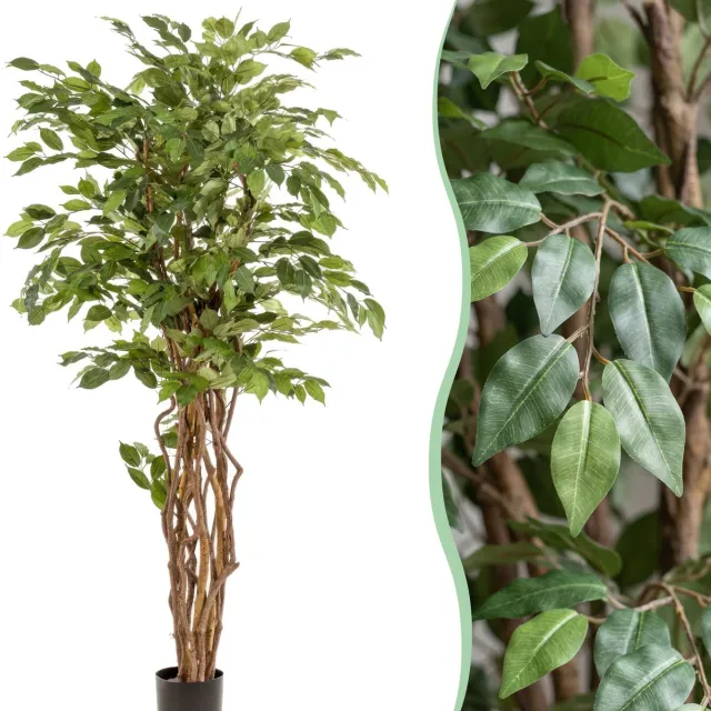 Green Boutiq kunstplant - Ficus liana - Vioolbladplant - 170cm Bruin