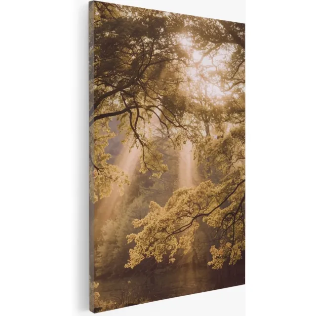 Saammp Canvas Schilderij - Lichtval - Bomen - Landschap - Natuur - 80x120 - Foto op canvas - Wanddecoratie - Muurdecoratie Woonkamer - Slaapkamer decoratie - Canvas Print Multicolor