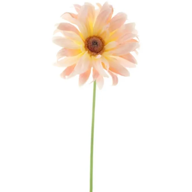 Erutan avon Gerbera spray Lotte peach 76 cm onbekend