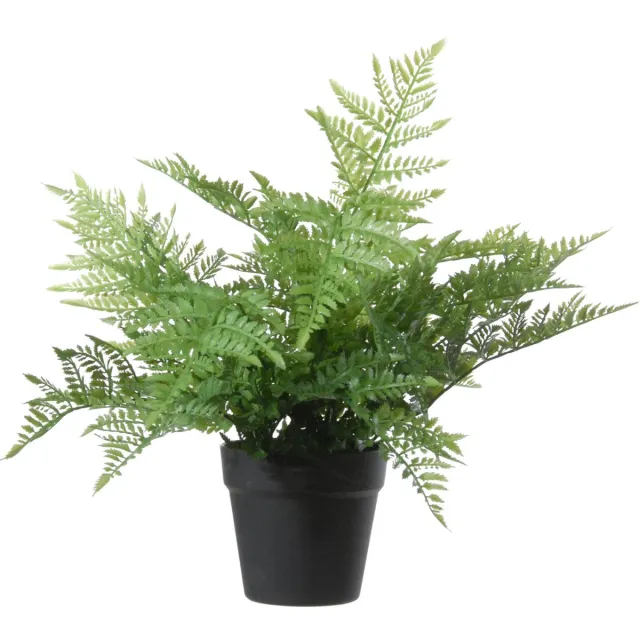 Louis Maes Kunstplant bosvaren Dryopteris Remota - groen - 43 cm - zwarte kunststof pot- Woondecoratie