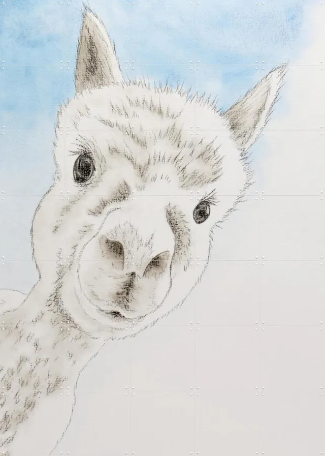IXXI Curious Alpaca, Natalie Bruns - 100 x 140 cm - Grote wanddecoratie en posters - Minimalisme, Tekeningen, Illustraties, Speels, Woonkamer Wit / Koele tinten