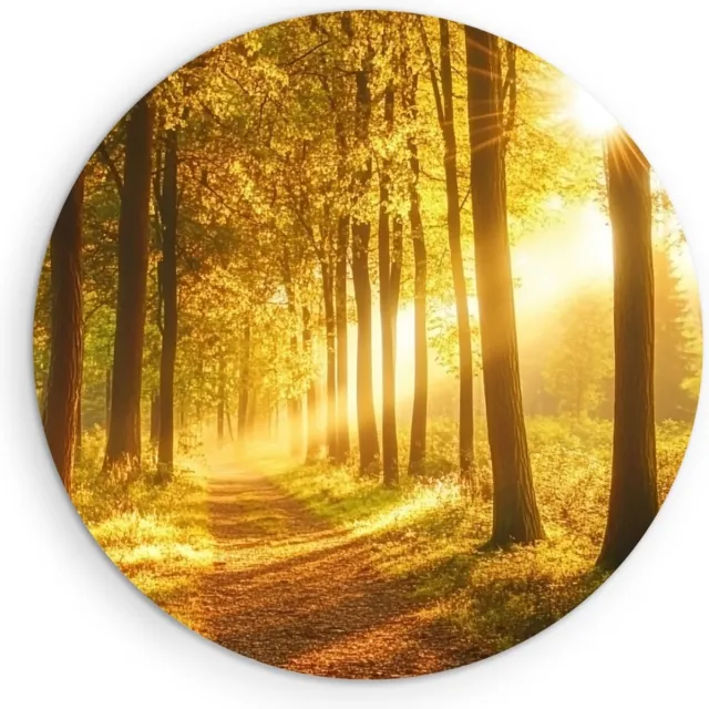 Saammp Muurcirkel Hout - Bos tijdens Goldenhour - Herfst - Natuur - Ø 50 - Wandcirkel - Wanddecoratie Cirkel - Muurdecoratie Woonkamer - Slaapkamer decoratie - Rond Schilderij