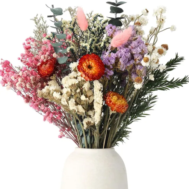 Ibenzoa Gedroogde Bloemen Decoratieset voor Boho Stijl Bruiloft en Interieur kleurrijk