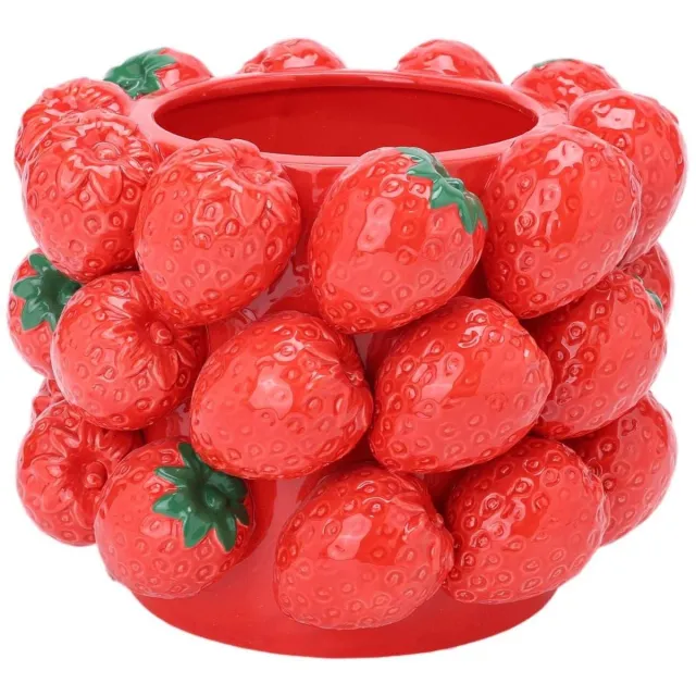 House of Nature Vaas Strawberry Delight 20cm [gid://shopify/Metaobject/307232833871]
