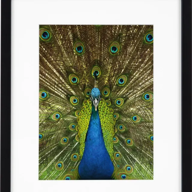 Goldbuch Fotolijst Pino - Zwart - 13x18 cm (20x25 cm)