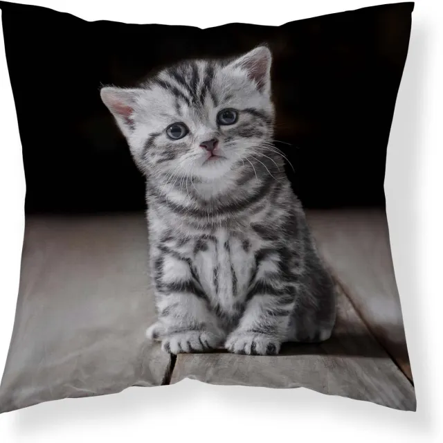 HUISDIER N HUISDIER Kat Poes Sierkussen kussen 40x40cm incl vulling 230grms Wit
