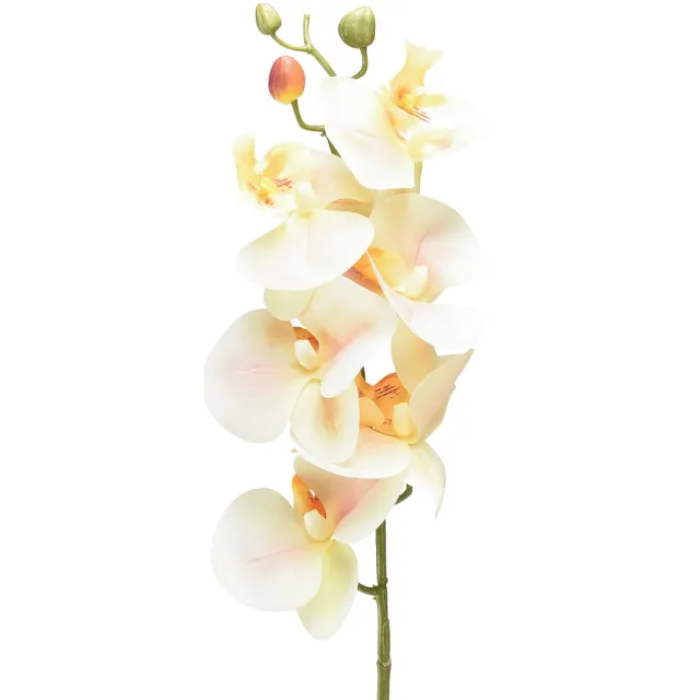 DPI GmbH Kunst Orchidee Creme Oranje Phalaenopsis 78cm Beige