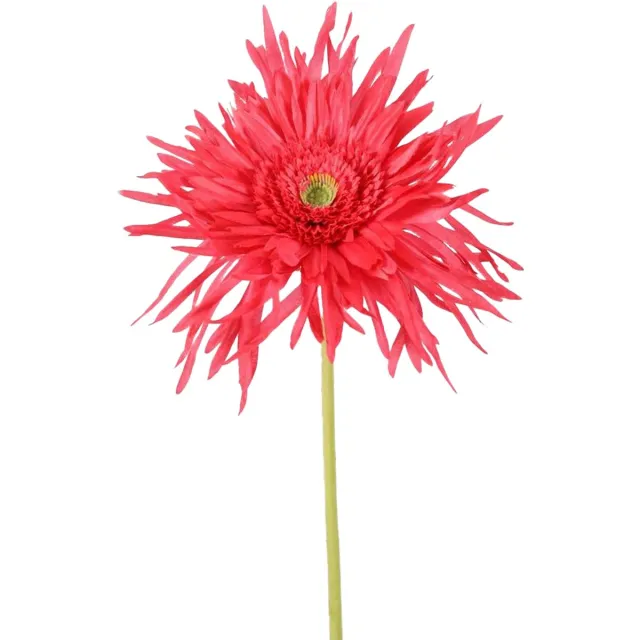 Viv! Home Luxuries Gerbera spinnekop - zijden bloem - fuchsia - 70cm Roze