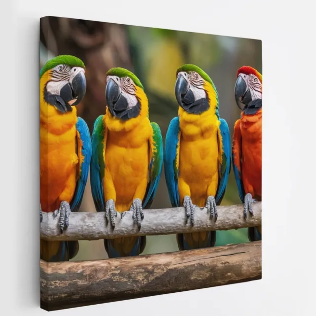 Saammp Canvas Schilderij - 4 papegaaien op tak - Dieren - Bloemen - 60x60 - Foto op canvas - Wanddecoratie - muurdecoratie Woonkamer - Slaapkamer decoratie - Canvas Print Multicolor