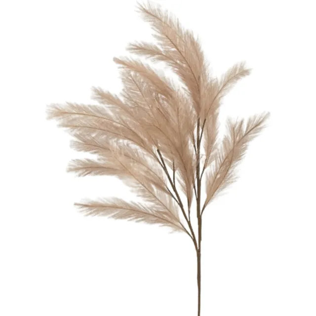 In2Deco Créme pluimen - Pampas Pluimen - 2 stuks - Kunstbloemen - Pluimen naturel - Beige - Siertakken