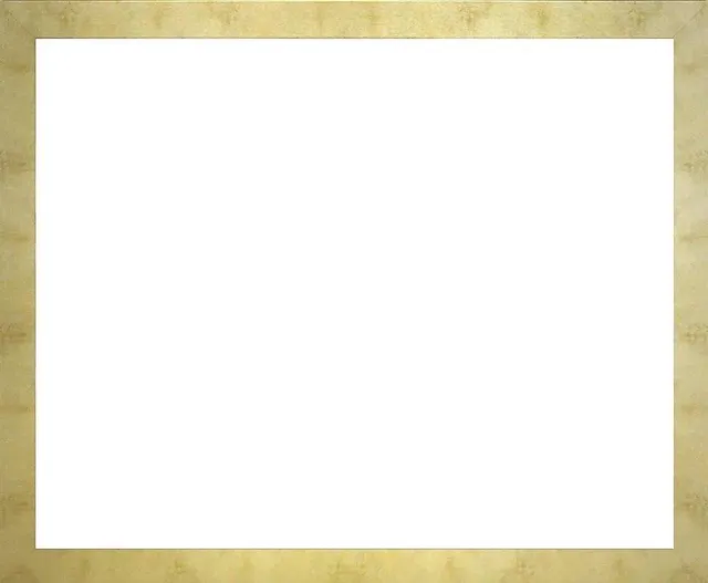 Homedecoration Misano – Fotolijst – Fotomaat – 48 x 71 cm – Goud Antiek