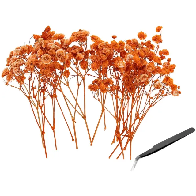 Famanu Geperste gedroogde gypsophila bloemen, 30 stuks voor DIY en knutselen, 10 cm