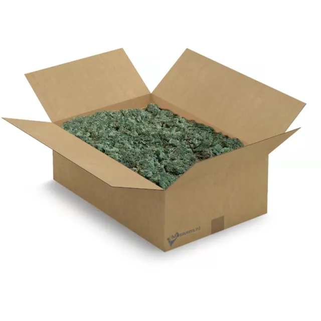 Moswens Rendiermos - 3 KG - Doos XL - 0,40 m² - Pine - Moswens Groen