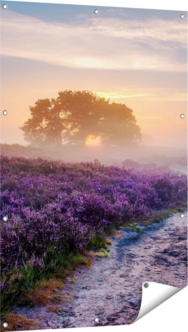 Gards Tuinposter Pad in de Weide van de Veluwe - 80x120 cm - Tuindoek - Tuindecoratie - Wanddecoratie buiten - Tuinschilderij Multikleur