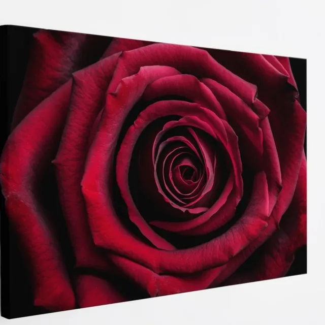 Saammp Canvas Schilderij - Rode Roos Close-Up - Natuur - Abstract - 45x30 - Foto op canvas - Wanddecoratie - Muurdecoratie Woonkamer - Kantoor Decoratie Multicolor