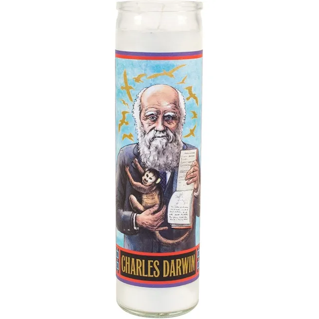 Megamoviestore Charles Darwin Secular Saint Candle - 8.5 Inch Glass Prayer Votive - 0814229001485 Wit