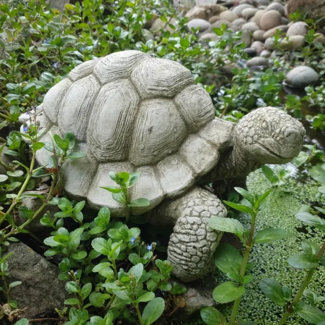 LO. Ornaments Betonnen tuinbeeld - grote schildpad grijs