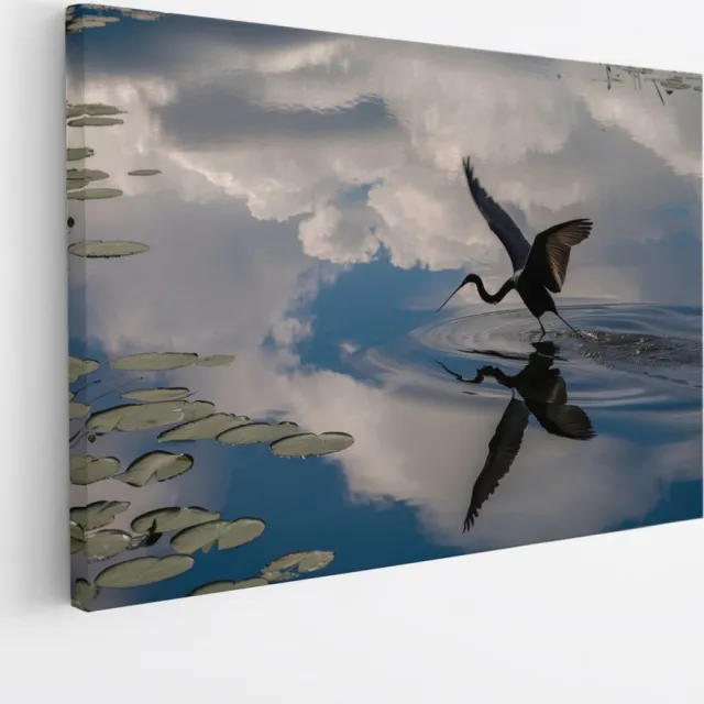 Saammp Canvas Schilderij - Reiger - Dieren - Bloemen - 70x50 - Foto op canvas - Wanddecoratie - muurdecoratie Woonkamer - Slaapkamer decoratie - Canvas Print Multicolor