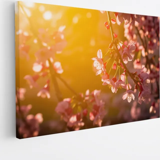 Saammp Canvas Schilderij - Roze Bloemen in zonsondergang - Natuur - 70x50 - Foto op canvas - Wanddecoratie - Muurdecoratie Woonkamer - Kantoor Decoratie Multicolor
