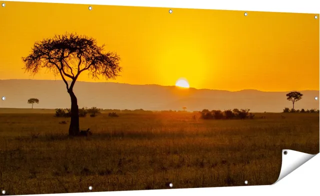 Gards Tuinposter Zonsopgang in de Savanne met een Boom - 180x90 cm - Tuindoek - Tuindecoratie - Wanddecoratie buiten - Tuinschilderij Multikleur