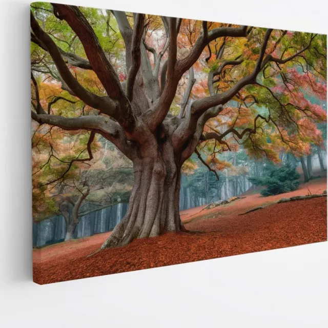 Saammp Canvas Schilderij - Bos tijdens de herfst - Landschap - Bloemen - Natuur - 70x50 - Foto op canvas - Wanddecoratie - Muurdecoratie Woonkamer - Slaapkamer decoratie - Canvas Print Multicolor