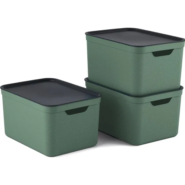 Rotho Jive opbergboxen set van 3 opbergdozen 16 l met deksel, kunststof (PP gerecycled), groen/antraciet, 3x16 (35 x 25 x 20 cm)