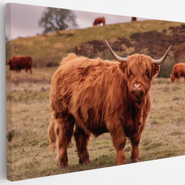 Saammp Canvas Schilderij - Schotse Hooglander Koe bij een meer - Dieren - Natuur - 30x20 - Foto op canvas - Wanddecoratie - muurdecoratie Woonkamer - Slaapkamer decoratie - Canvas Print Multicolor