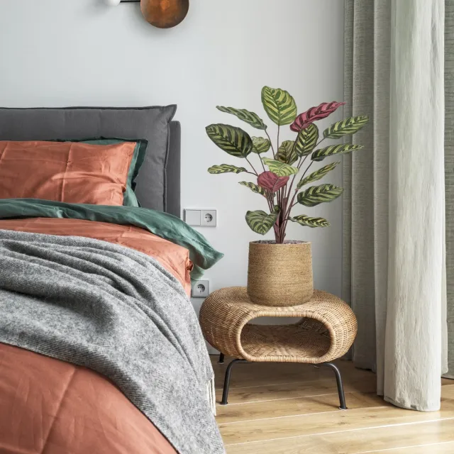 maxifleur Kunstplanten Red Calathea Makoyana FR Kunstplant 60cm groen