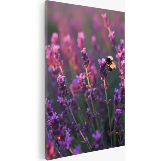 Saammp Canvas Schilderij - Lavendel met bij - Natuur - Landschap - 50x70 - Foto op canvas - Wanddecoratie - Muurdecoratie Woonkamer - Slaapkamer decoratie - Canvas Print Multicolor