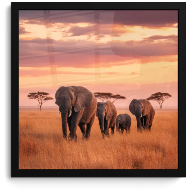 FrameYourWall Poster in lijst - Fotolijst 40x40 cm - Posters - Groep olifanten - Open vlakte - Zon - Posterlijst zwart - Decoratie - Wanddecoratie woonkamer - Muurdecoratie slaapkamer