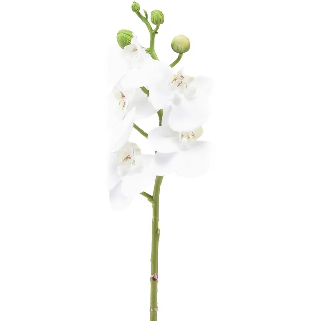 Flor und Decor Witte kunstorchidee Phalaenopsis Real Touch 32cm