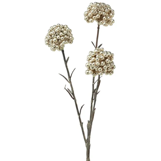 Innovation of Green GmbH Decoratieve tak kunst bessentak champagne 46cm Goud