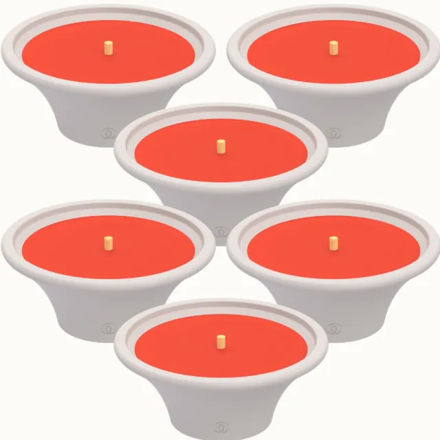 Spaas Citronella Buitenkaars in witte Terracottaschaal – Levendig Geel – circa 9u – 6 tuinkaarsen Levendig Rood