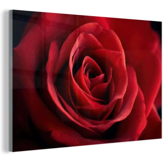 Unyqoos Moderne wanddecoratie met rode roos voor woonkamerinterieur rood - roze