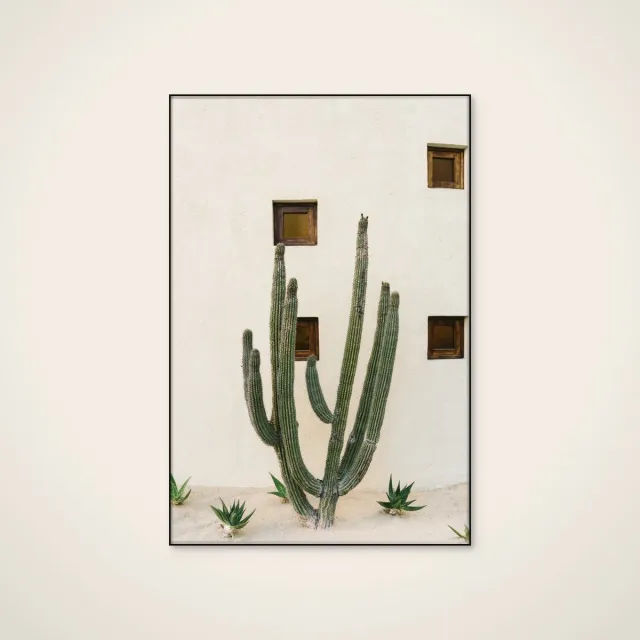 HelloWalls Akoestisch schilderij - 80 x 120 cm - Desert Cactus Garden van Bethany Young - Natuurlijke wanddecoratie - zwart textielframe Meerkleurig