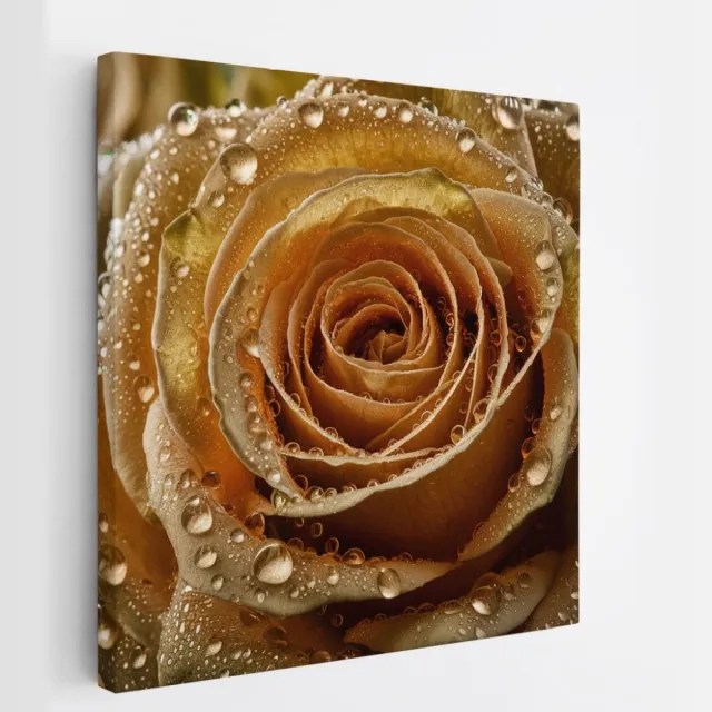 Saammp Canvas Schilderij - Gedetailleerde Roos - Goudkleurige - Abstract - 20x20 - Foto op canvas - Wanddecoratie - Muurdecoratie Woonkamer - Kantoor Decoratie Multicolor